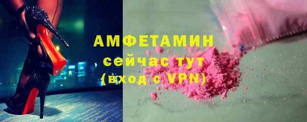 сатива Балахна
