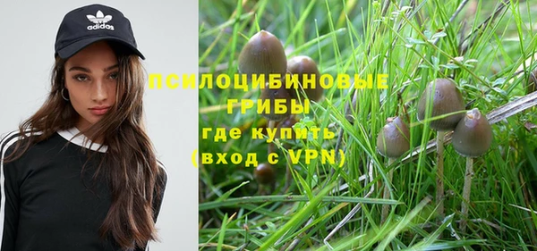 хмурый Баксан