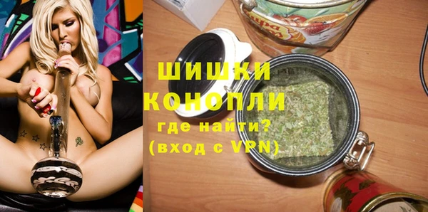 сатива Балахна