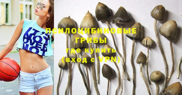 сатива Балахна