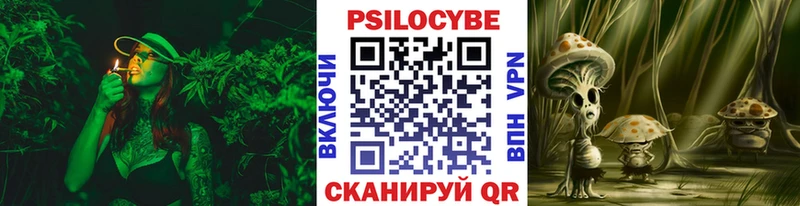 Галлюциногенные грибы мицелий Ершов