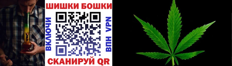 купить закладку  Ершов  МАРИХУАНА SATIVA & INDICA 